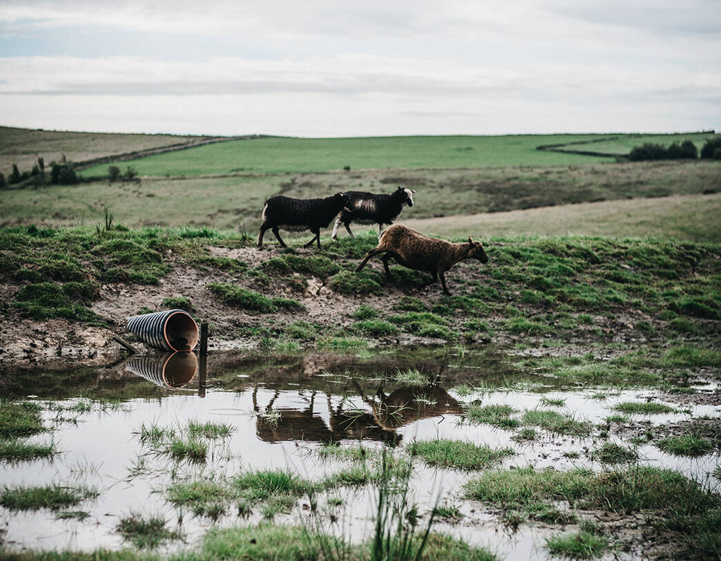 Natural flood management attenuation basin