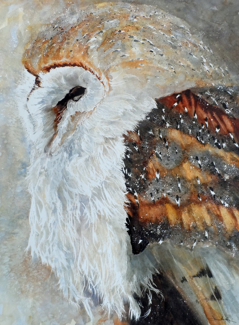 Watercolour of barn owl. Copyright Jane Austin