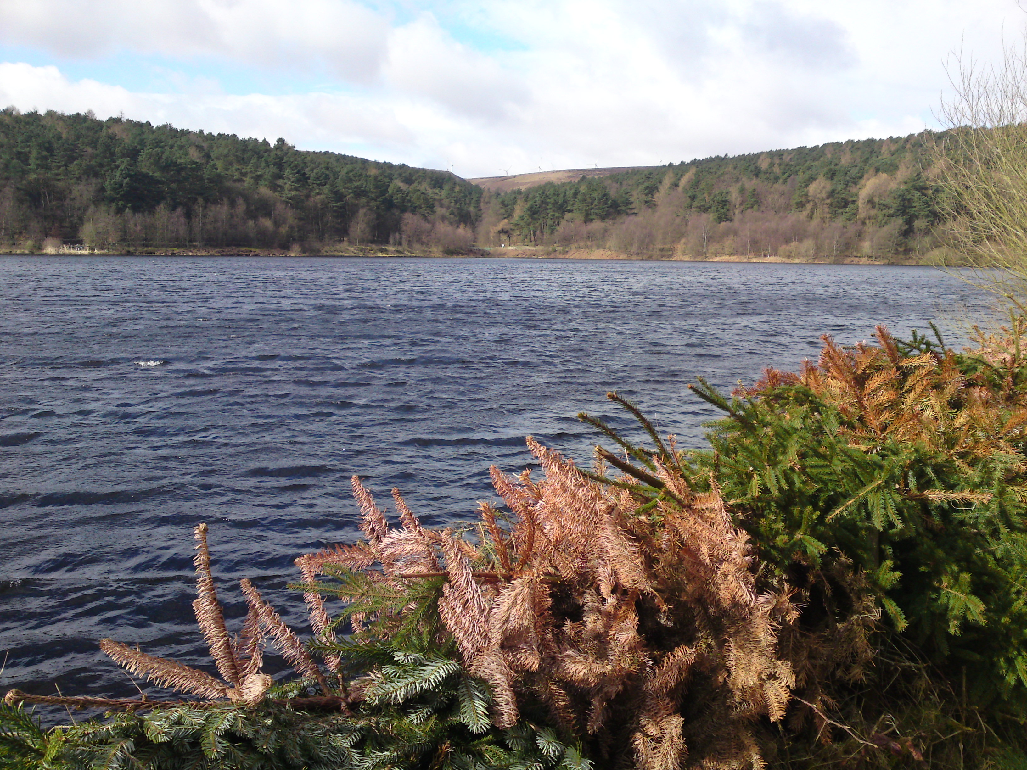 Ogden water