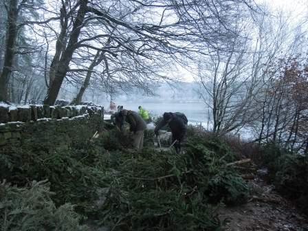 Christmas tree recycling