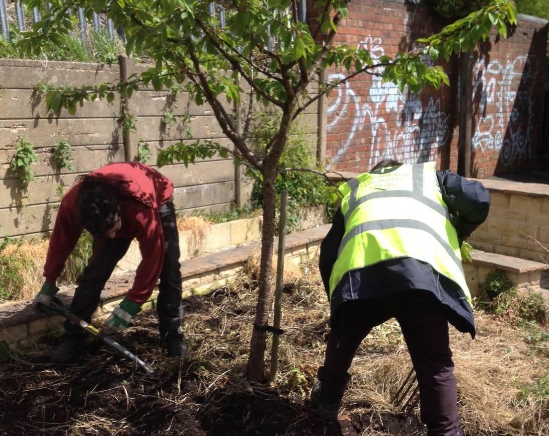 Community volunteers