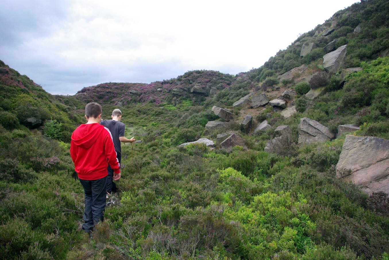 Children on Norland Moor