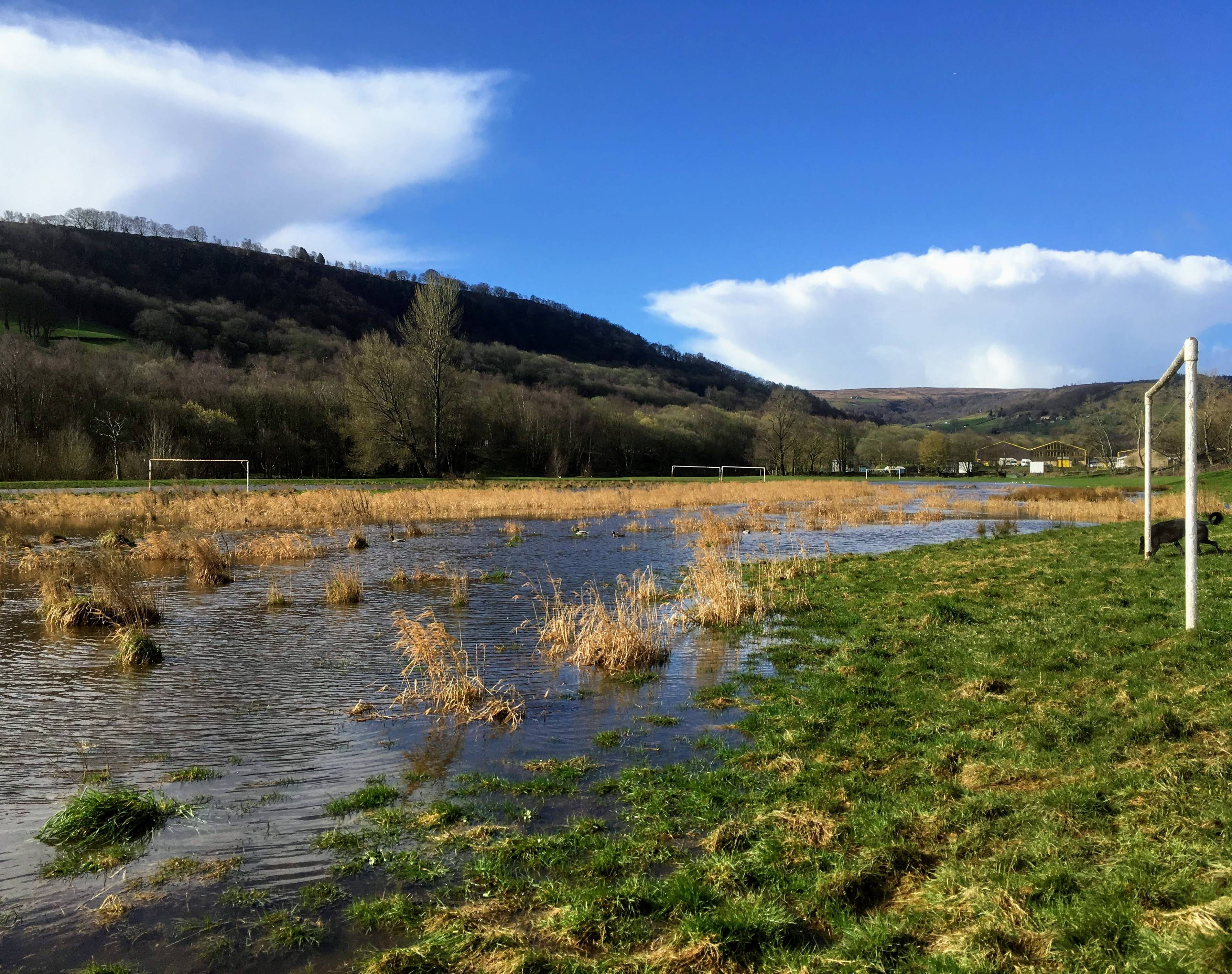 Brearley Fields when flooded