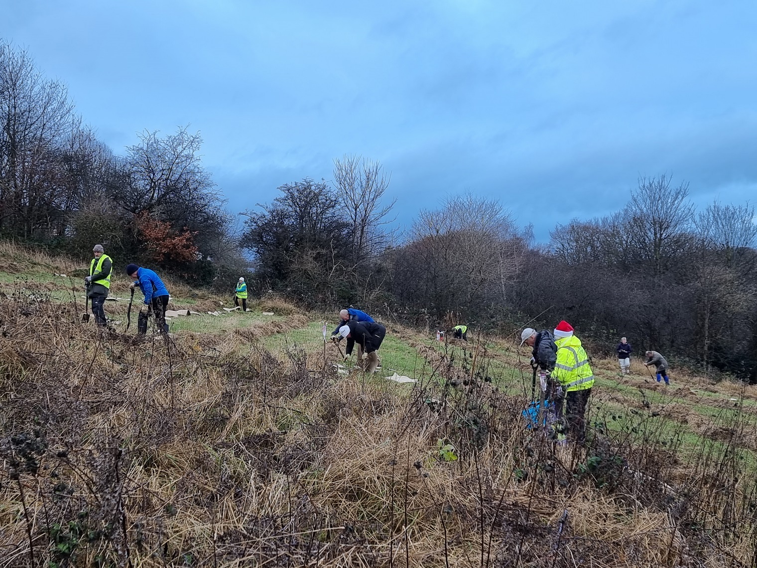 Tree planting at Whinney Hill Park